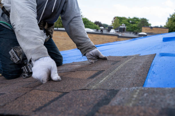 Best Commercial Roofing Services  in Riverdale Park, MD