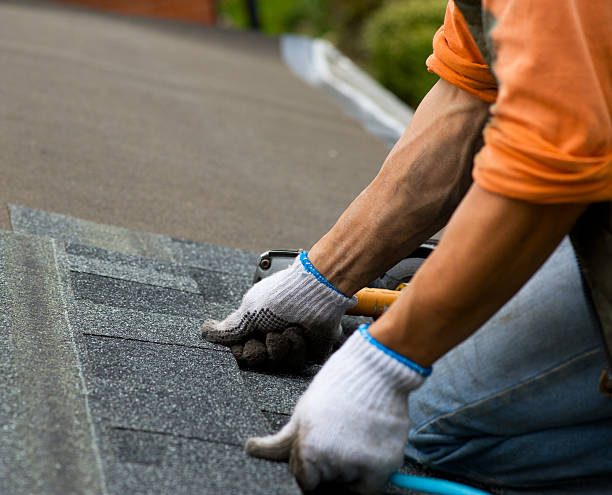 Best Roof Leak Repair  in Riverdale Park, MD